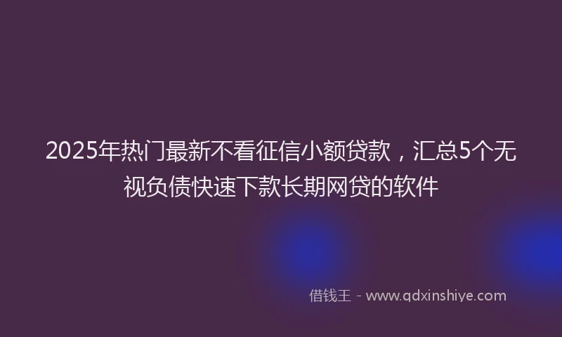 2025年热门最新不看征信小额贷款，汇总5个无视负债快速下款长期网贷的软件