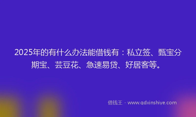 2025年的有什么办法能借钱有：私立签、甄宝分期宝、芸豆花、急速易贷、好居客等。