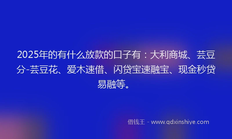 2025年的有什么放款的口子有：大利商城、芸豆分-芸豆花、爱木速借、闪贷宝速融宝、现金秒贷易融等。