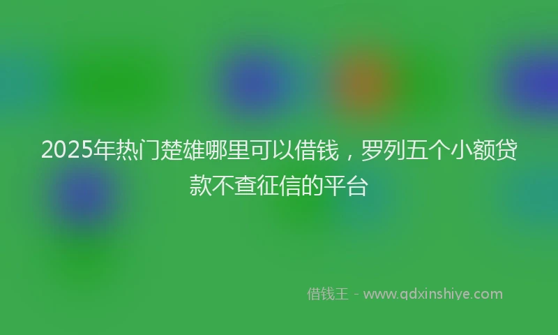 2025年热门楚雄哪里可以借钱，罗列五个小额贷款不查征信的平台