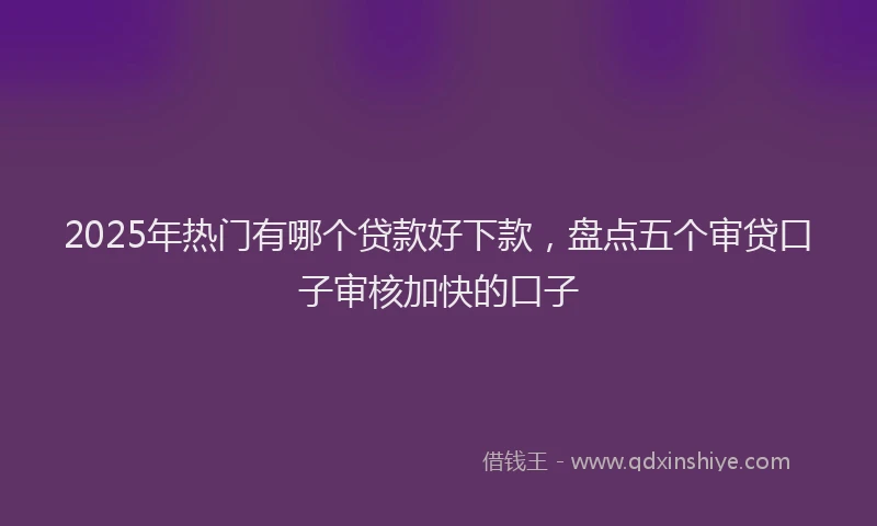 2025年热门有哪个贷款好下款，盘点五个审贷口子审核加快的口子
