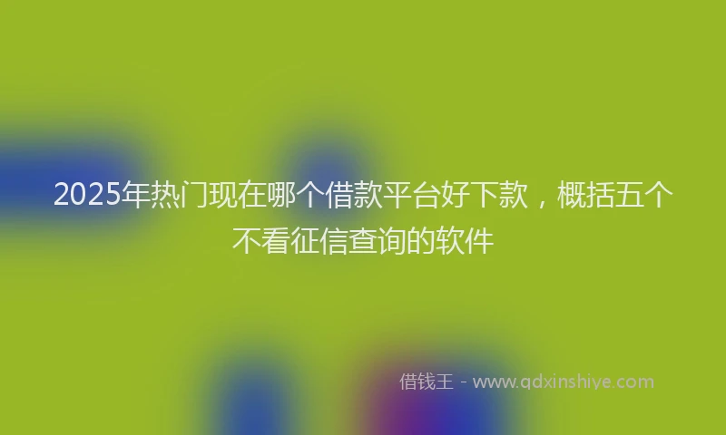2025年热门现在哪个借款平台好下款，概括五个不看征信查询的软件