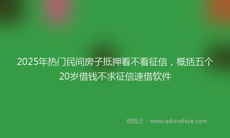 2025年热门民间房子抵押看不看征信，概括五个20岁借钱不求征信速借软件