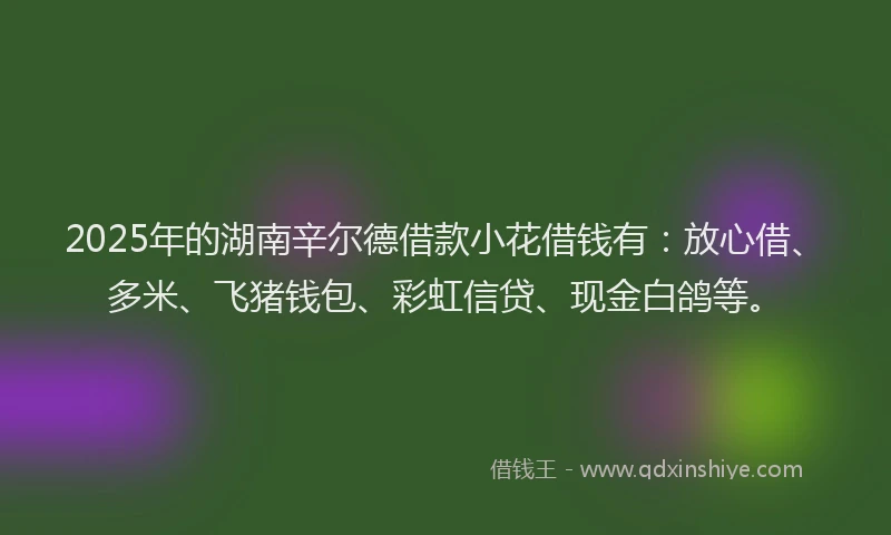 2025年的湖南辛尔德借款小花借钱有：放心借、多米、飞猪钱包、彩虹信贷、现金白鸽等。