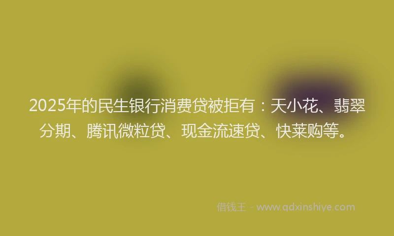 2025年的民生银行消费贷被拒有：天小花、翡翠分期、腾讯微粒贷、现金流速贷、快莱购等。