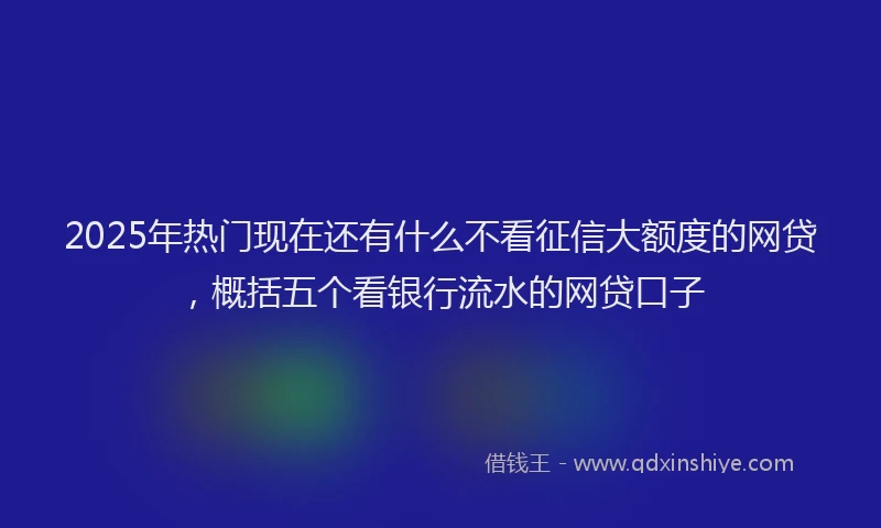 2025年热门现在还有什么不看征信大额度的网贷，概括五个看银行流水的网贷口子