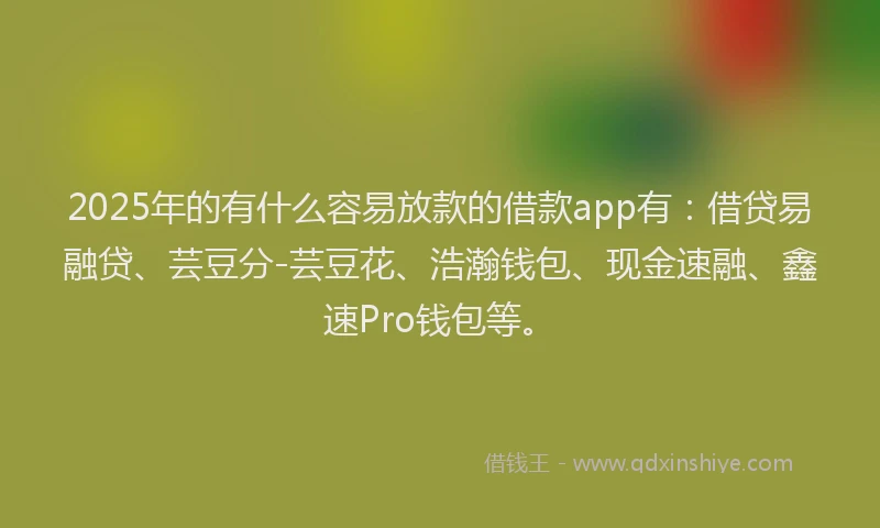 2025年的有什么容易放款的借款app有：借贷易融贷、芸豆分-芸豆花、浩瀚钱包、现金速融、鑫速Pro钱包等。