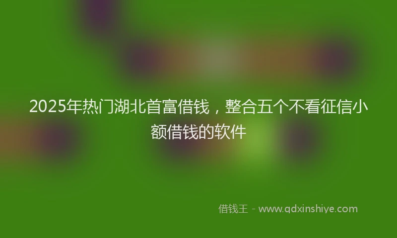 2025年热门湖北首富借钱，整合五个不看征信小额借钱的软件