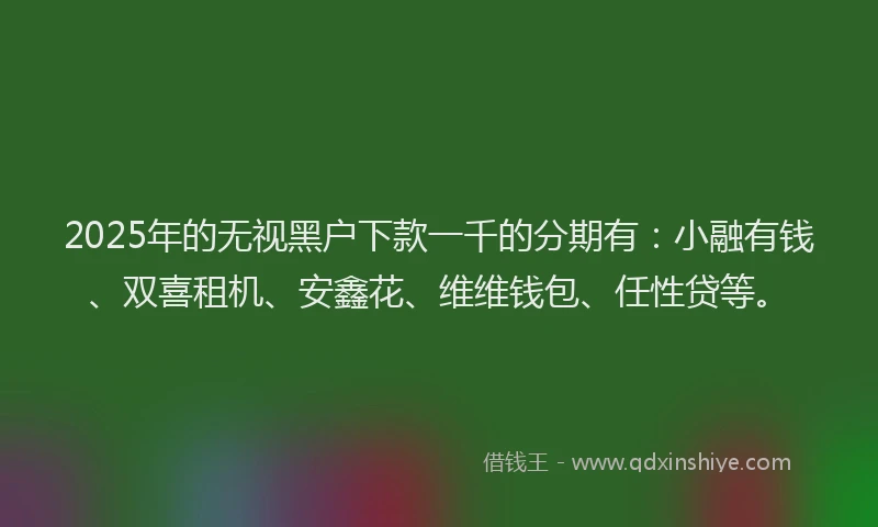 2025年的无视黑户下款一千的分期有：小融有钱、双喜租机、安鑫花、维维钱包、任性贷等。
