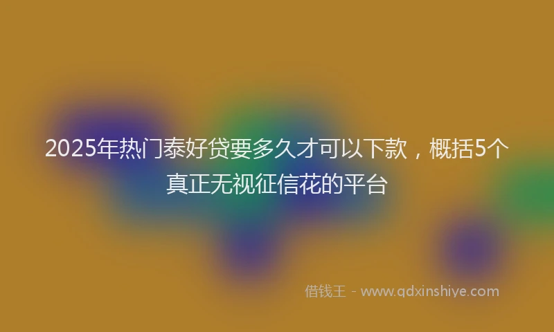 2025年热门泰好贷要多久才可以下款，概括5个真正无视征信花的平台