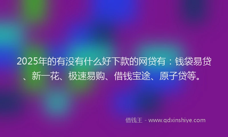 2025年的有没有什么好下款的网贷有：钱袋易贷、新一花、极速易购、借钱宝途、原子贷等。