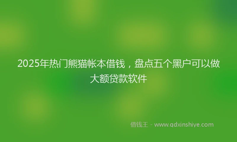 2025年热门熊猫帐本借钱，盘点五个黑户可以做大额贷款软件