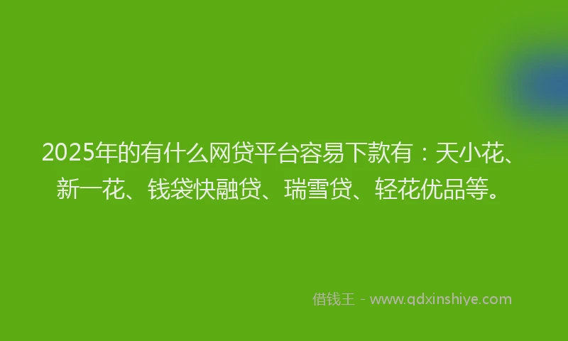 2025年的有什么网贷平台容易下款有：天小花、新一花、钱袋快融贷、瑞雪贷、轻花优品等。
