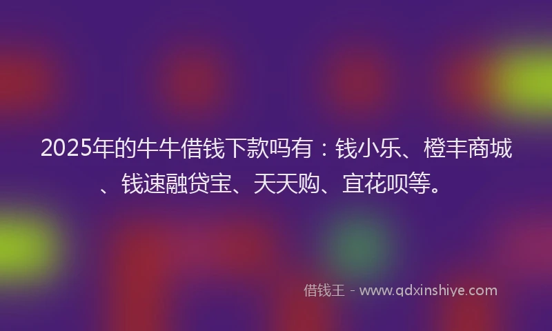2025年的牛牛借钱下款吗有：钱小乐、橙丰商城、钱速融贷宝、天天购、宜花呗等。