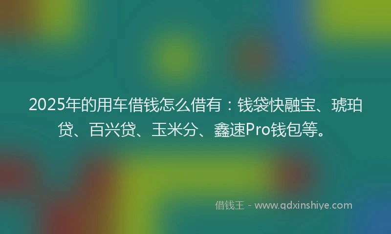 2025年的用车借钱怎么借有：钱袋快融宝、琥珀贷、百兴贷、玉米分、鑫速Pro钱包等。
