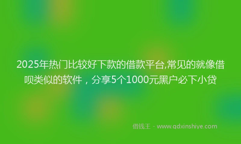 2025年热门比较好下款的借款平台,常见的就像借呗类似的软件，分享5个1000元黑户必下小贷