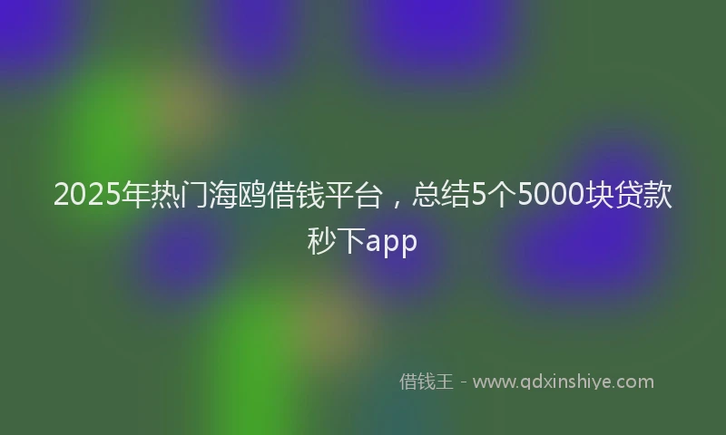 2025年热门海鸥借钱平台，总结5个5000块贷款秒下app