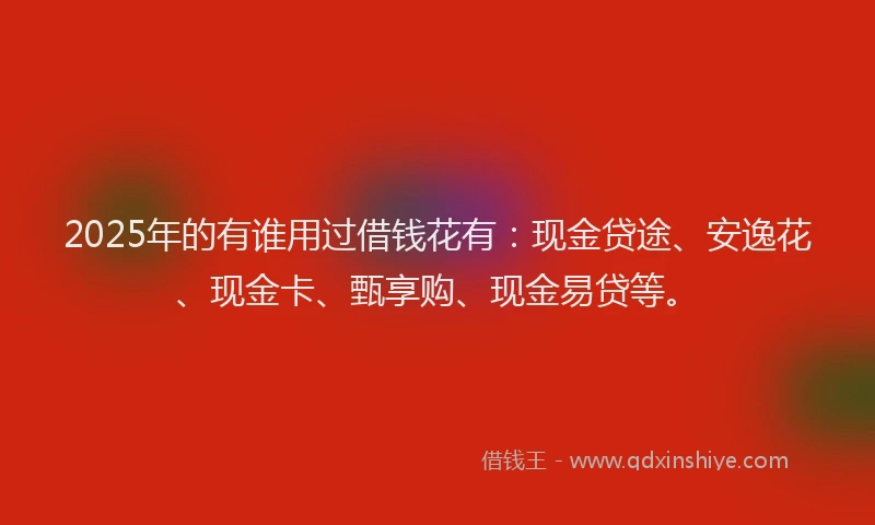 2025年的有谁用过借钱花有：现金贷途、安逸花、现金卡、甄享购、现金易贷等。