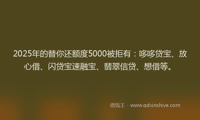 2025年的替你还额度5000被拒有：哆哆贷宝、放心借、闪贷宝速融宝、翡翠信贷、想借等。