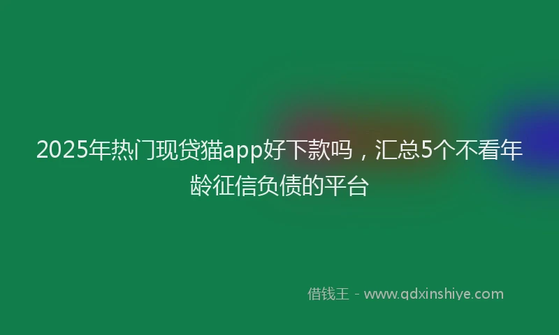 2025年热门现贷猫app好下款吗，汇总5个不看年龄征信负债的平台