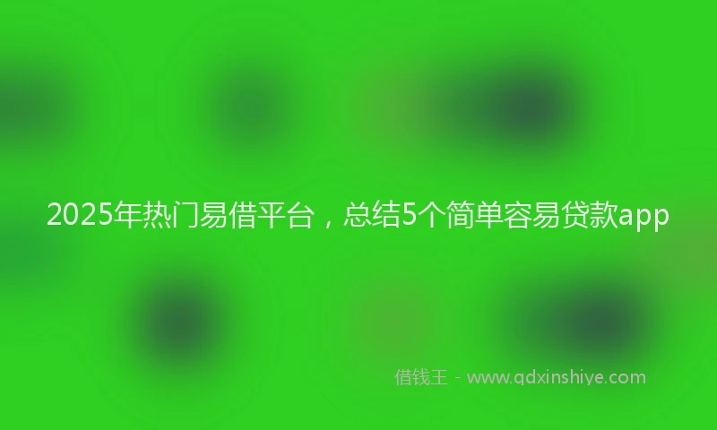 2025年热门易借平台，总结5个简单容易贷款app