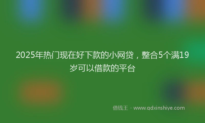 2025年热门现在好下款的小网贷，整合5个满19岁可以借款的平台