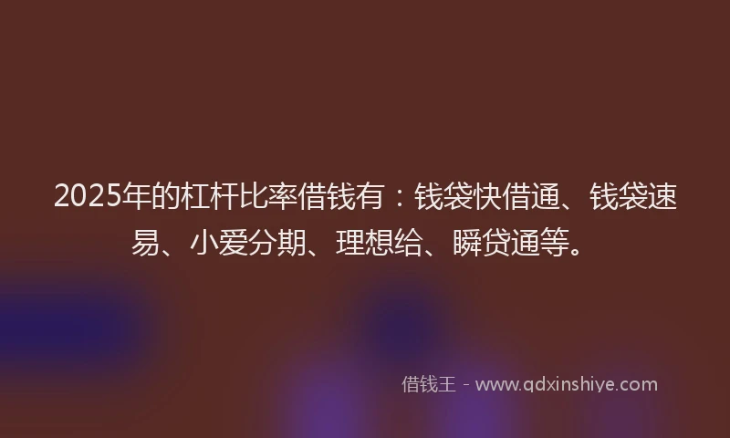 2025年的杠杆比率借钱有：钱袋快借通、钱袋速易、小爱分期、理想给、瞬贷通等。