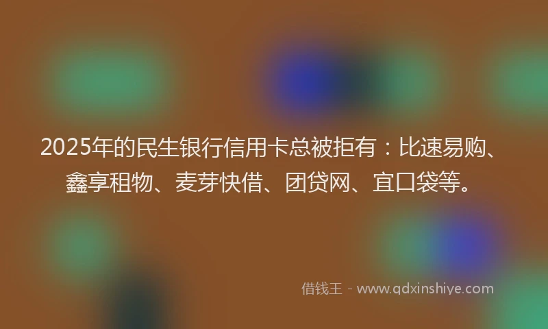 2025年的民生银行信用卡总被拒有：比速易购、鑫享租物、麦芽快借、团贷网、宜口袋等。