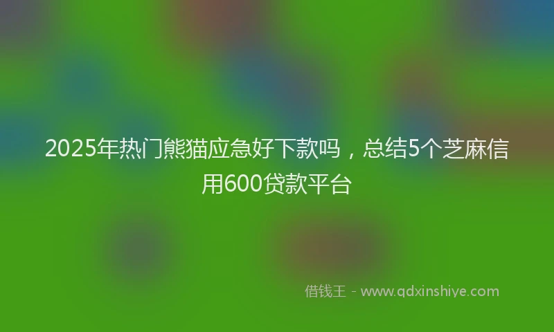 2025年热门熊猫应急好下款吗，总结5个芝麻信用600贷款平台