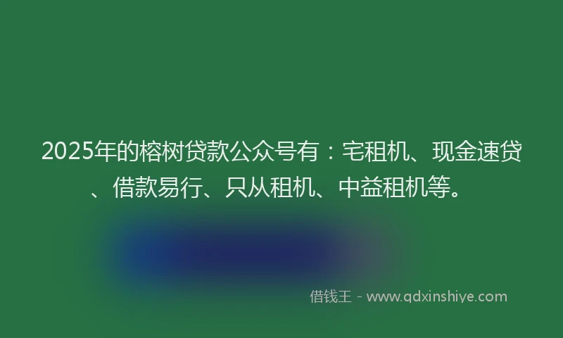 2025年的榕树贷款公众号有：宅租机、现金速贷、借款易行、只从租机、中益租机等。