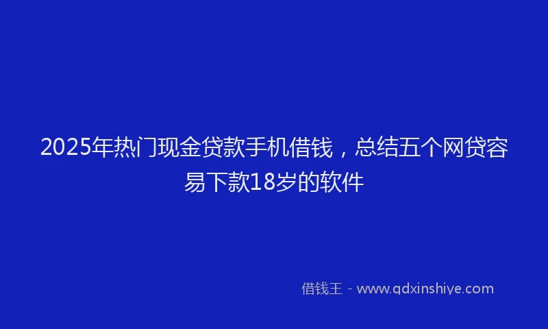 2025年热门现金贷款手机借钱，总结五个网贷容易下款18岁的软件