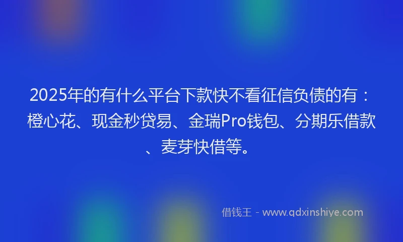 2025年的有什么平台下款快不看征信负债的有：橙心花、现金秒贷易、金瑞Pro钱包、分期乐借款、麦芽快借等。
