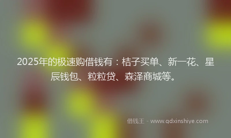 2025年的极速购借钱有：桔子买单、新一花、星辰钱包、粒粒贷、森泽商城等。