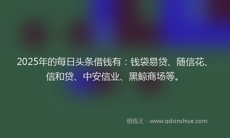 2025年的每日头条借钱有：钱袋易贷、随信花、信和贷、中安信业、黑鲸商场等。