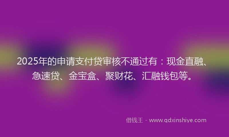 2025年的申请支付贷审核不通过有：现金直融、急速贷、金宝盒、聚财花、汇融钱包等。