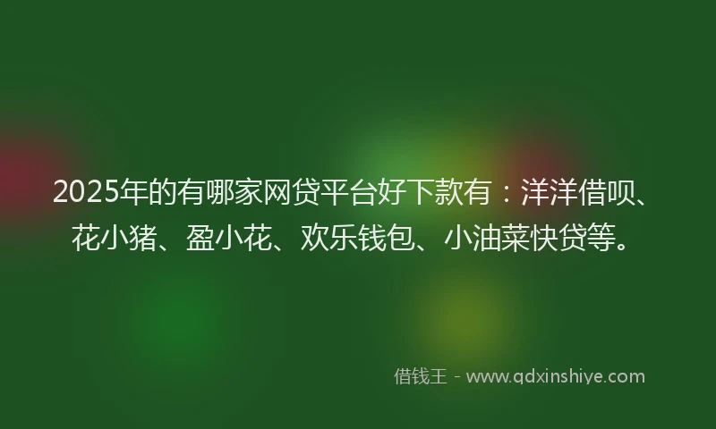 2025年的有哪家网贷平台好下款有：洋洋借呗、花小猪、盈小花、欢乐钱包、小油菜快贷等。
