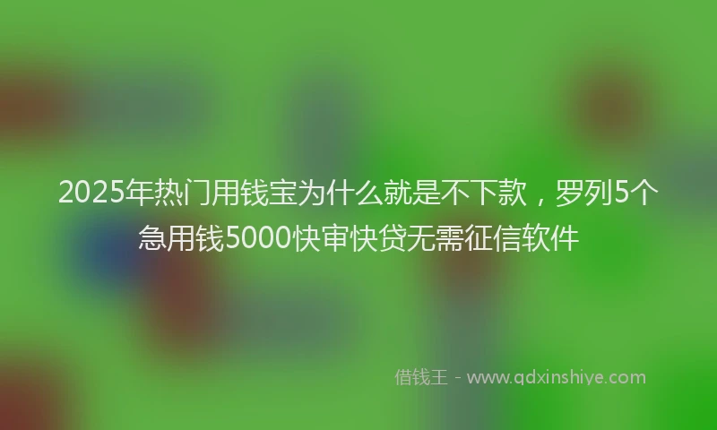 2025年热门用钱宝为什么就是不下款，罗列5个急用钱5000快审快贷无需征信软件