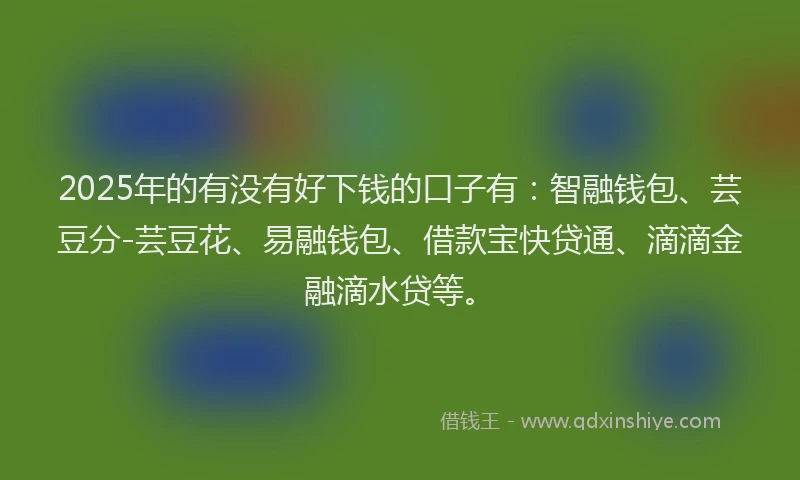 2025年的有没有好下钱的口子有：智融钱包、芸豆分-芸豆花、易融钱包、借款宝快贷通、滴滴金融滴水贷等。
