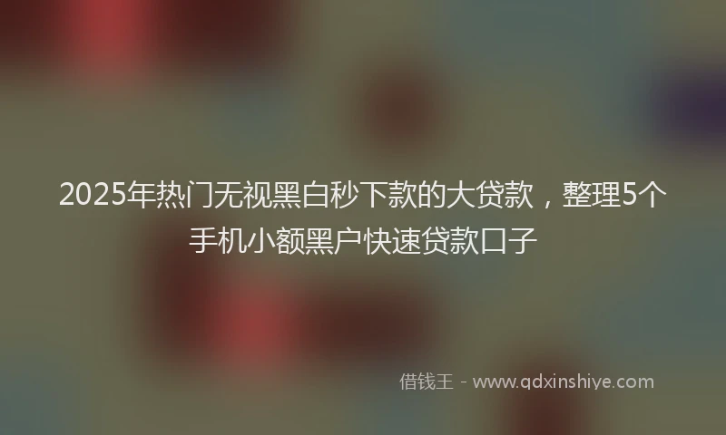 2025年热门无视黑白秒下款的大贷款，整理5个手机小额黑户快速贷款口子