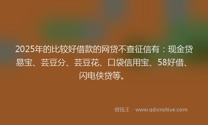 2025年的比较好借款的网贷不查征信有：现金贷易宝、芸豆分、芸豆花、口袋信用宝、58好借、闪电侠贷等。