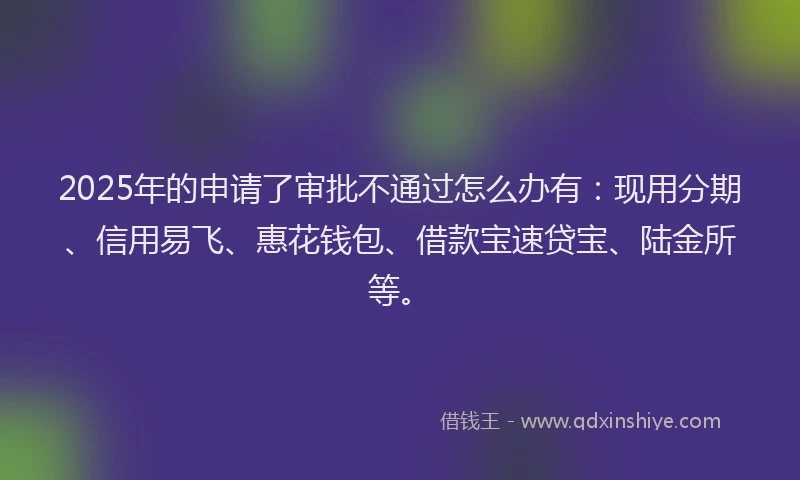2025年的申请了审批不通过怎么办有：现用分期、信用易飞、惠花钱包、借款宝速贷宝、陆金所等。