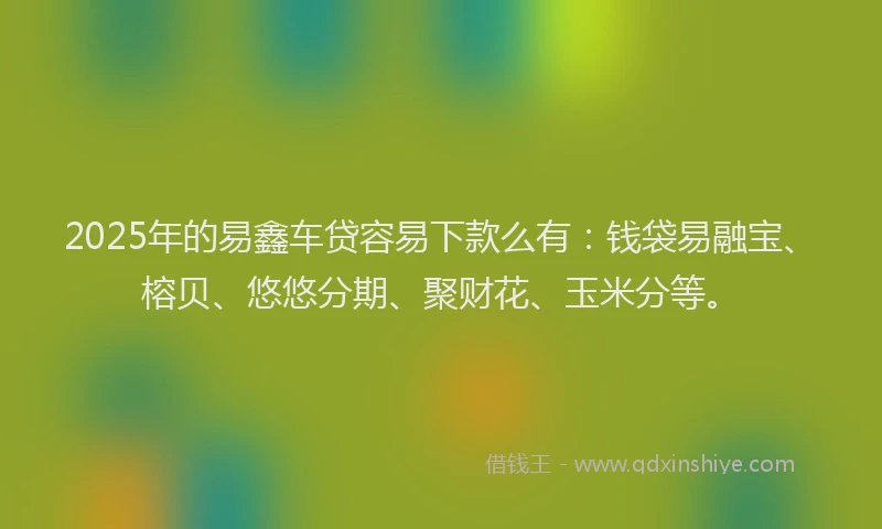 2025年的易鑫车贷容易下款么有：钱袋易融宝、榕贝、悠悠分期、聚财花、玉米分等。