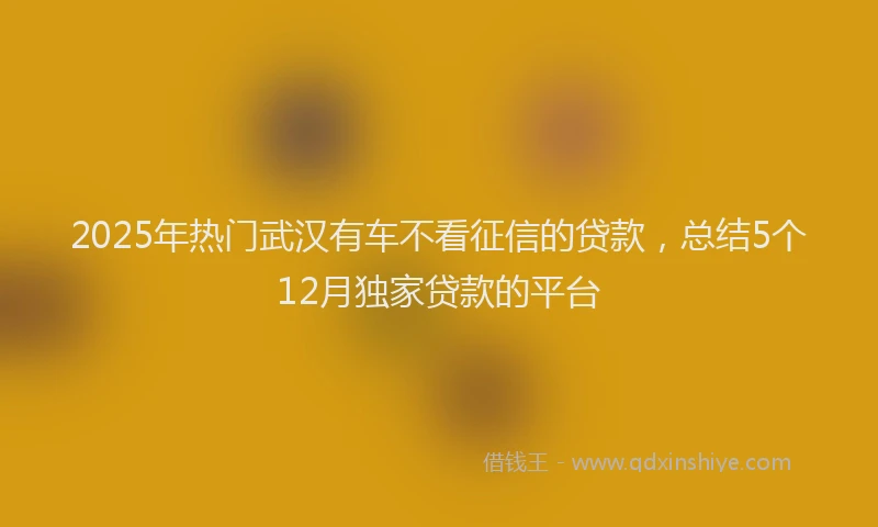 2025年热门武汉有车不看征信的贷款，总结5个12月独家贷款的平台