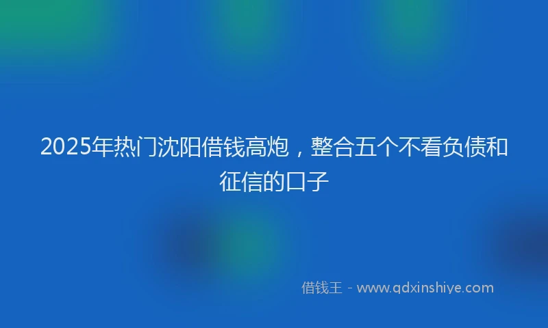 2025年热门沈阳借钱高炮，整合五个不看负债和征信的口子