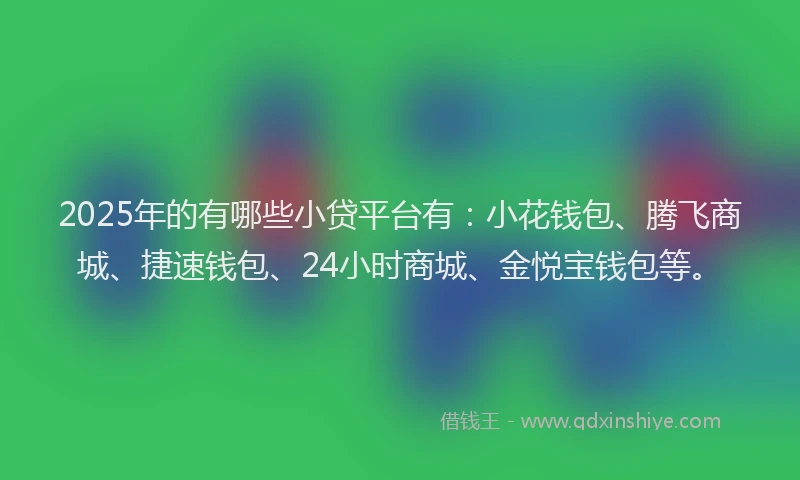 2025年的有哪些小贷平台有：小花钱包、腾飞商城、捷速钱包、24小时商城、金悦宝钱包等。