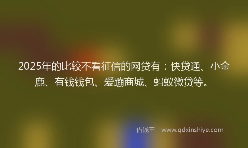 2025年的比较不看征信的网贷有：快贷通、小金鹿、有钱钱包、爱蹦商城、蚂蚁微贷等。