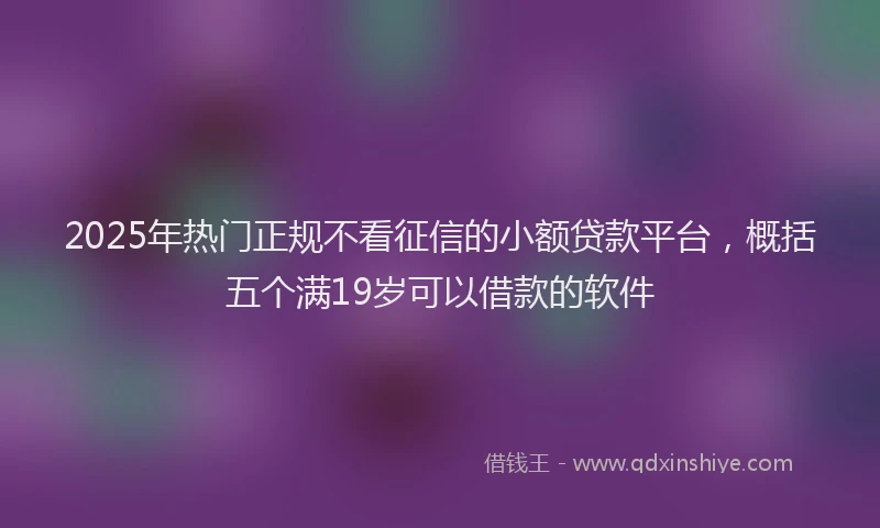 2025年热门正规不看征信的小额贷款平台，概括五个满19岁可以借款的软件