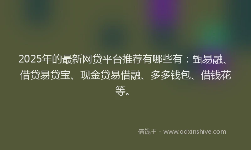 2025年的最新网贷平台推荐有哪些有：甄易融、借贷易贷宝、现金贷易借融、多多钱包、借钱花等。