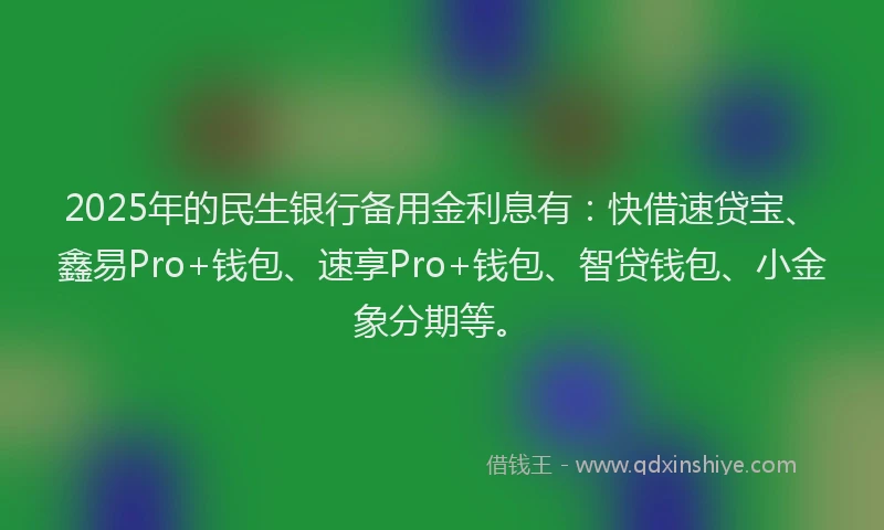 2025年的民生银行备用金利息有：快借速贷宝、鑫易Pro+钱包、速享Pro+钱包、智贷钱包、小金象分期等。