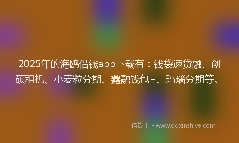 2025年的海鸥借钱app下载有：钱袋速贷融、创硕租机、小麦粒分期、鑫融钱包+、玛瑙分期等。